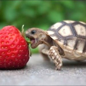 Meet your Posher, Catherine